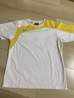 DESCENTE Tシャツ ホワイト/イエロー Mサイズ