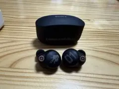 初音ミク コラボ ワイヤレスイヤホン WF-1000XM4/MK