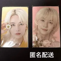 &honey ジョンハン トレカ