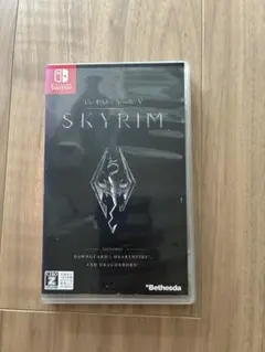 ⭐︎きれい⭐︎Switch版 日本語版 スカイリム skyrim