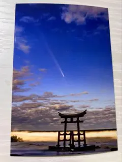 Item thumbnail for item cc1f22a1-58bc-40ef-bccf-973dd989c7ea