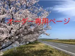 オーダー専用ページです