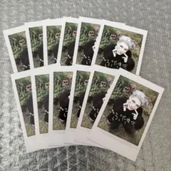 &TEAM MAKI チェキ まとめ売り