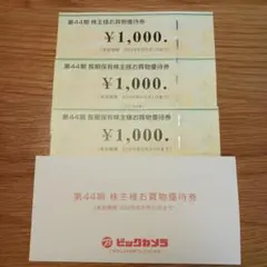 ビックカメラ　株主優待