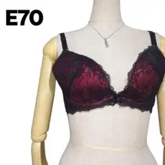 E70 黒赤レースブラジャー 美品 希少