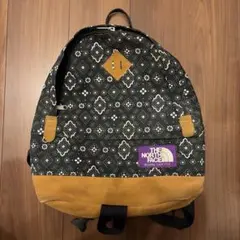 THE NORTH FACE パターン入りリュック