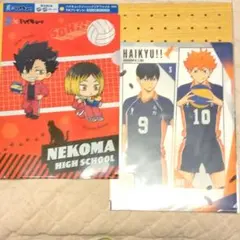 ハイキュー ロッテ 爽 コラボ クリアファイル 音駒 黒尾鉄朗 孤爪研磨