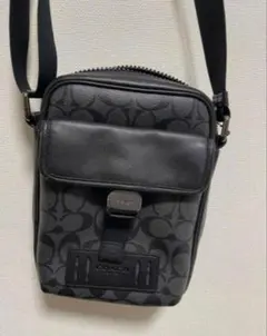 最終値下】COACH ディズニー ヴィランズ 限定 - メルカリ