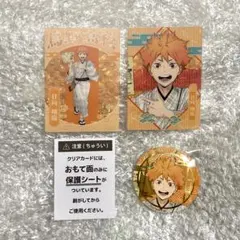 ハイキュー!! 烏野 レッツゴーキョート JR東海 京都 推し旅 日向翔陽