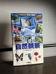 Item thumbnail for item 7fd16990-75af-4dcc-b28f-c3976d2703f6