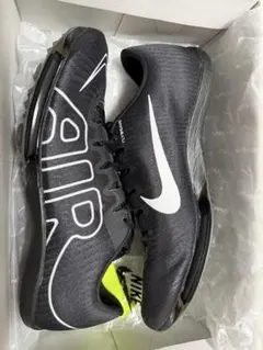 Nike マックスフライ モアテン 28.0