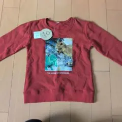 恐竜グラフィック トレーナー 130