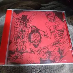 DESECRATION GORE ＆ PERVERSION 再発 デスメタル