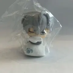 カラフルピーチ　からぴち　ヒロくん　おねむたん