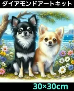 30×30cmダイヤモンドアートキット チワワ