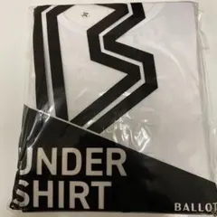 Item thumbnail for item 33eb498c-4c6d-4cea-937a-e1e169d66f4d