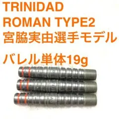 ジェームスベイリー JAMES2 トリニダード TRINIDAD 定価11000 ダーツ バレル TRiNiDAD PRO James2 James Bailey トリニダード プロ