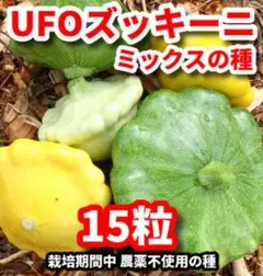 マウンテンサムライ様 リクエスト 4点 まとめ商品