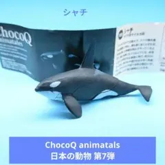 希少【海洋堂】ChocoQ animateles 日本の動物 第7弾 ツチクジラ - メルカリ