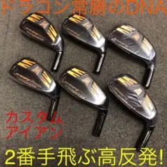 【新品6個】2番手飛ぶ高反発! ワークスゴルフ CBR アイアン カスタムヘッドのサムネイル