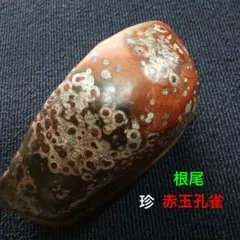 希少石 鬼鞍馬石 加茂七石 水石 鑑賞石 - メルカリ