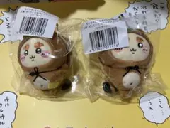 ちいかわ　たぬきだもんくじ