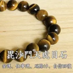 Item thumbnail for item 1b22a6e2-ffa0-4b24-bc71-e2b224968818