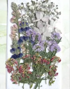 雪苺*すのーべりぃ*  MINAMI様 リクエスト 2点 まとめ商品