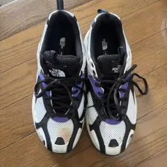 the north face スニーカー