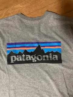 パタゴニア patagonia ロングスリーブ　長袖　tシャツ　Mサイズ表記