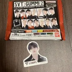 SEVENTEEN SVT GUMMI ステッカー S.COUPS