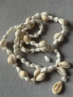 ホワイトシェルのパーツ 珍しい