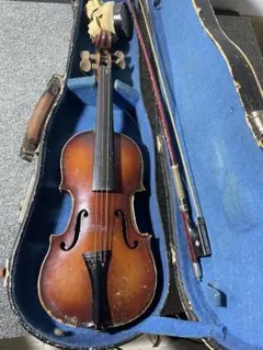 2025年最新】ビオラ スズキの人気アイテム - メルカリ