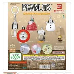 PEANUTS めじるしアクセサリー FUNNY ver. スヌーピーB ガチャ