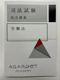 アガルート2024総合講義 アガルート 司法試験 2024 総合講義 労働法 過去問解析講座 論証