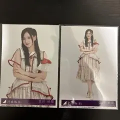 ビリヤニ　金川紗耶