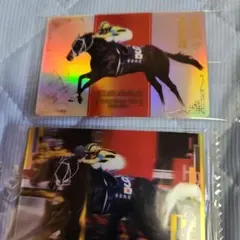 サラブレッドホースコレクション4R STAY GOLD 香港ヴァーズ記念カード