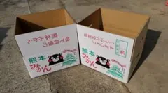 オレンジ様専用『 肥のあすか』箱込み9.9kg サイズS以下