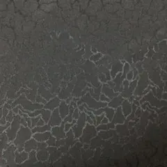 Item thumbnail for item b5770f62-8d69-4567-9267-469bdd713bcb