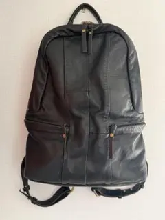 希少コーネリアンタウラス 2WAY ショルダーバッグ ブラック - メルカリ