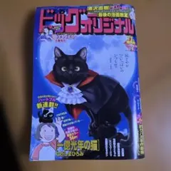 ビッグコミックオリジナル 2026年11月増刊号