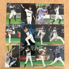 プロ野球チップスカード(北海道日本ハムファイターズ)