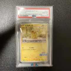 【PSA10】ピカチュウ #242 イラストコンテスト2024