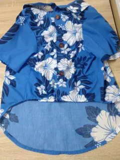 Item thumbnail for item 48feb138-4db7-4d86-927e-08f974014cbd