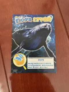 Meiji生物図鑑グミ深海魚カード24枚セット➕おまけ3枚 - メルカリ