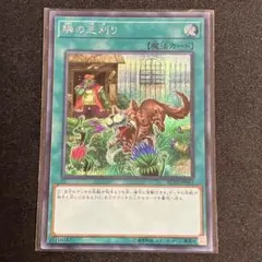 遊戯王　隣の芝刈り シークレット　①