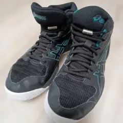 ⭐︎良品⭐︎ASICS アシックスダンクショット バスケットシューズ23.5cm