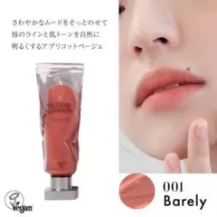 ムジゲマンション　オブジェリキッド001 Barelyのサムネイル