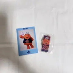 ベルテックス静岡 ベルティ