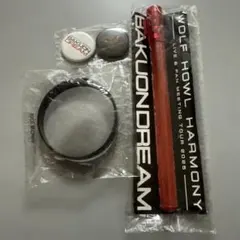 Item thumbnail for item 0acd2362-3361-479b-bdcf-67cc2aa85768